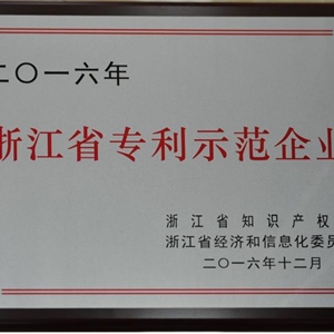 湖州新開元 浙江省專利示范企業